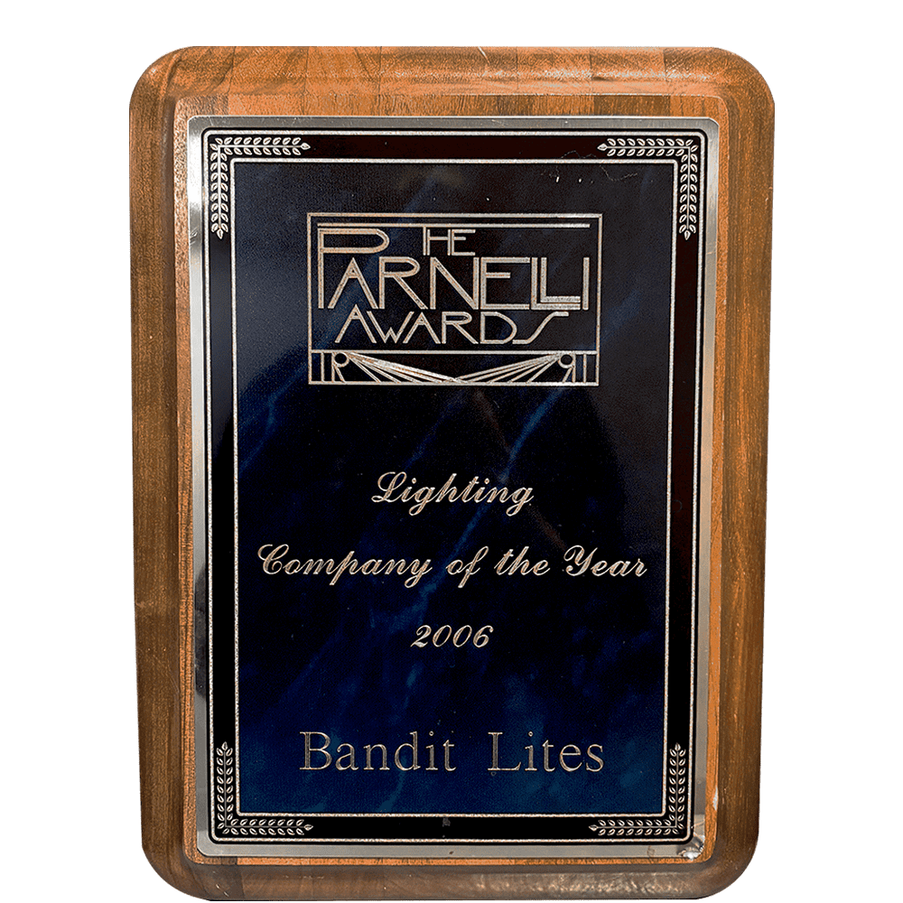 Bandit Lites wins the Arnel Award for Lighting Company of the Year 2018.